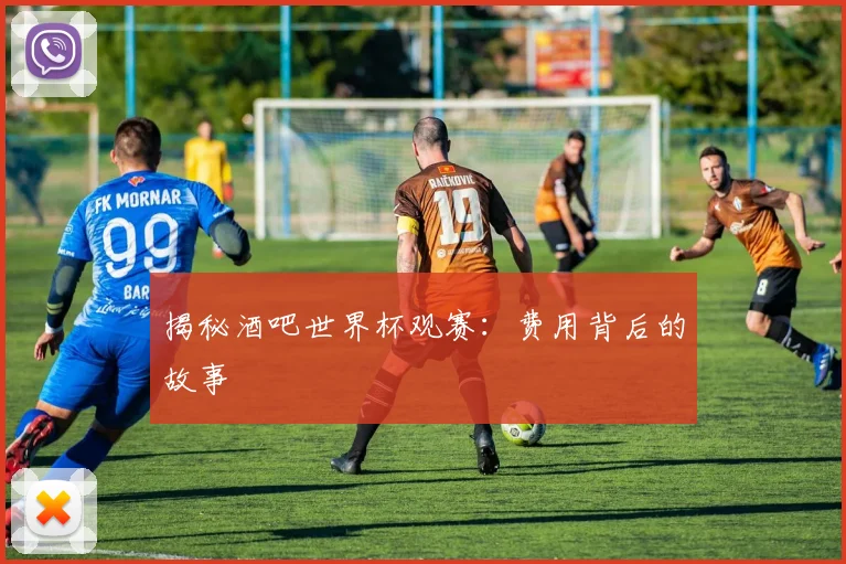 揭秘酒吧世界杯观赛：费用背后的故事
