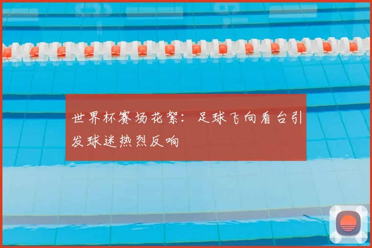 世界杯赛场花絮：足球飞向看台引发球迷热烈反响