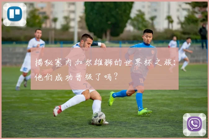 揭秘塞内加尔雄狮的世界杯之旅：他们成功晋级了吗？