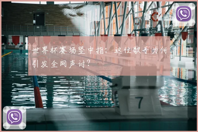 世界杯赛场竖中指：这位歌手为何引发全网声讨？