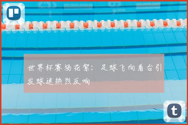 世界杯赛场花絮：足球飞向看台引发球迷热烈反响
