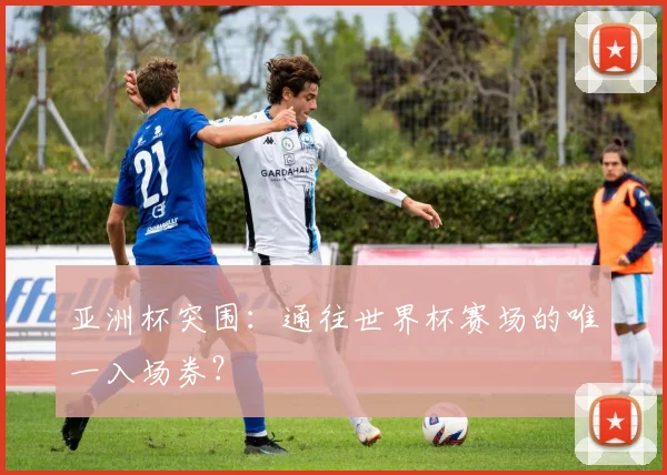 亚洲杯突围:通往世界杯赛场的唯一入场券?