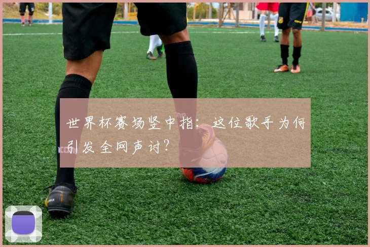 世界杯赛场竖中指：这位歌手为何引发全网声讨？
