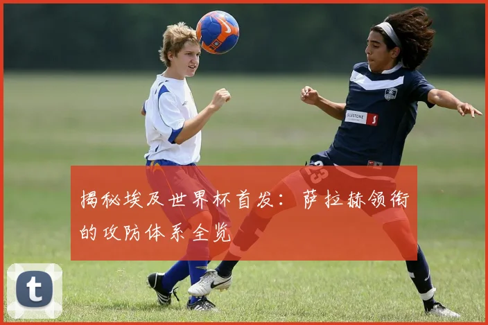 揭秘埃及世界杯首发：萨拉赫领衔的攻防体系全览